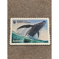 Австралия 2006. Синий кит