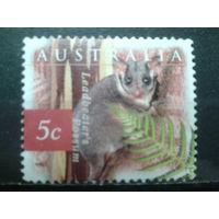 Австралия 1996 фауна