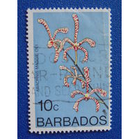 Барбадос 1974 г. Цветы.