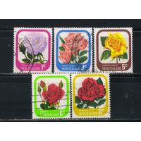Новая Зеландия 1975 Розы Стандарт #667,669,671,672,674