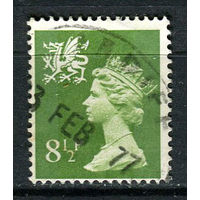 Уэльс и Монмутшир (Великобритания) - 1976 - Королева Елизавета II 6 1/2Р - [Mi.22] - 1 марка. Гашеная.  (Лот 81EV)-T25P1
