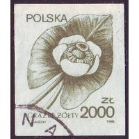 Лекарственные растения Польша 1990 год 1 беззубцовая марка