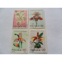 Польша 1965г, цветы