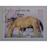 Куба.2005.лошади