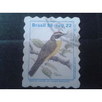 Бразилия 1998 Птица, стандарт