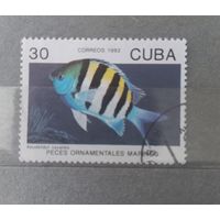 Куба. 1992г. Фауна.