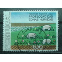 Португалия 1976 Природа, пастбище, овцы