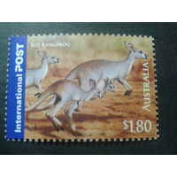 Австралия 2005 кенгуру