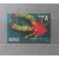 Норвегия. 2007г. Фауна.