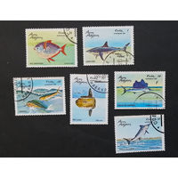 Куба 1981 г. Пелагические рыбы. Морская фауна, полная серия из 6 марок #0015-Ф2P3