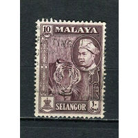 Малайские штаты - Селангор - 1957/1961 - Султан Хисамуддин Алам Шах и тигр 10С - [Mi.84b] - 1 марка. Гашеная.  (Лот 56FC)-T25P11