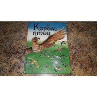 Король птиц - ирландские сказки саги и легенды - рис. Кудрявцева - большой формат, крупный шрифт