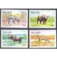 Малави фауна