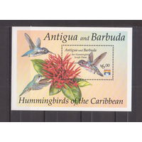 Антигуа и Барбуда 1992 фауна птицы колибри MNH
