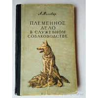 Мазовер А.  Племенное дело в служебном собаководстве. 1954г.