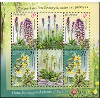 Цветы Беларусь 2011 год (871-872) серия из 2-х марок в малом листе