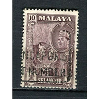 Малайские штаты - Селангор - 1961/1962 - Султан Салахуддин Абдул Азиз Шах и тигр 10С - [Mi.95] - 1 марка. Гашеная.  (Лот 57FC)-T25P11