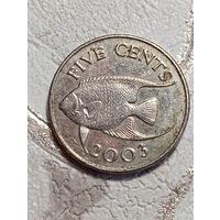 Бермуды 5 центов 2003 года .