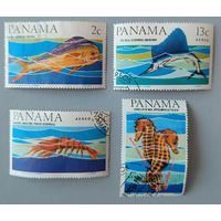 Морская фауна. Панама