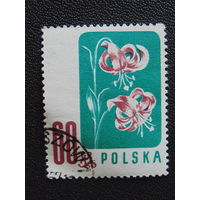 Польша 1957 г. Флора.