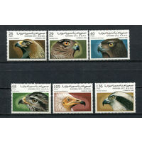 Сахара - 1996 - Птицы - полная серия - 6 марок. MNH.  (LOT De50)
