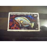 1971 Французская колония Территория Афаров и Иссу фауна рыба выпускалась одиночкой уценка (5-4)