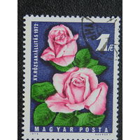 Венгрия 1972г. Флора.