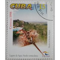 Куба 1998. Ящерица