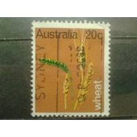 Австралия 1969 Злаки, хлеб