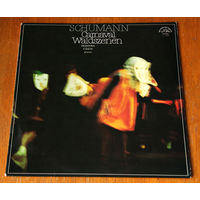 Schumann. Carnaval Op. 9, Waldszenen Op. 82 - Sequeira Costa LP, 1978