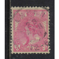 Нидерланды 1899 Вильгельмина Стандарт #54A