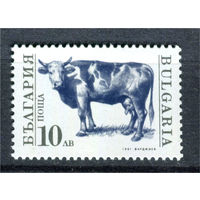 Болгария - 1991г. - Домашние животные - полная серия, MNH [Mi 3885] - 1 марка