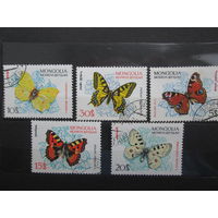 Бабочки Монголия 1963 год