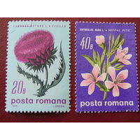Румыния 1970г. Флора.