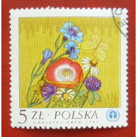Польша. Цветы. ( 1 марка ) 1982 года. 5-12.