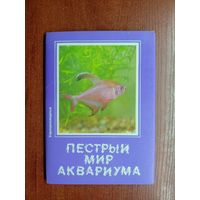 "Пестрый мир аквариума. Харациновидные" Комплект из 18 цветных открыток