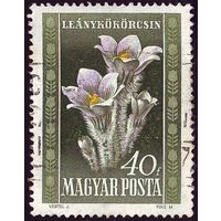 Флора Венгрия 1950 год 1 марка