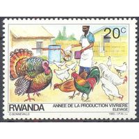 Руанда птицы дом