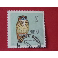 Польша 1960 г. Птицы. Филин.