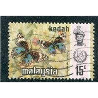 Малазийские штаты. Кедах. Бабочки