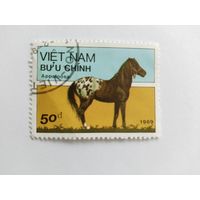 Вьетнам  1989 лошадь