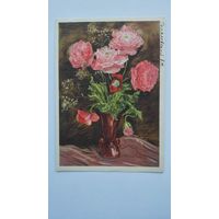 1957. цветы. Голяховский. Розовые маки
