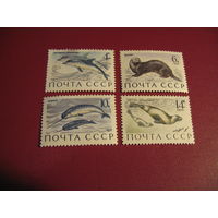 Марки Морские млекопитающие 1971 год СССР