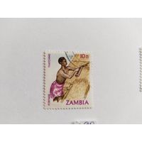 Замбия  1981