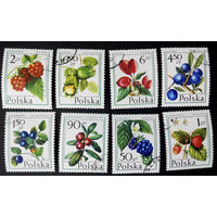 Польша 1977 г. Ягоды. Флора, полная серия из 8 марок #0192-Ф1
