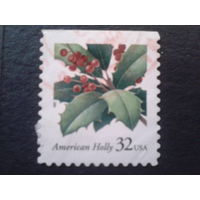 США 1997 Рождество , ягоды