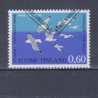 [1031] Финляндия 1974. Фауна.Птицы.Чайки. Одиночный выпуск. Гашеная марка.