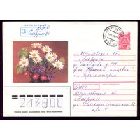 Цветы Бобруйск 590