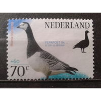 Нидерланды 1994 Птица* Михель-1,5 евро