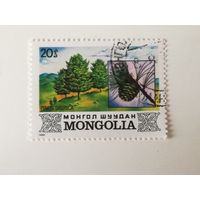 Монголия 1982. Деревья Монголии.